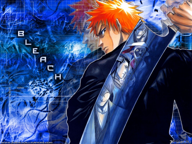 Otaku Gallery  / Anime e Manga / Bleach / Wallpapers / 097.jpg